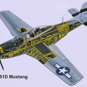 P-51 Mustang cutaway