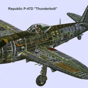 Republic P-47D Thunderbolt cutaway