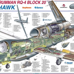 Global hawk cutaway