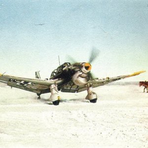 Junkers Ju-87 Winter  Color Photo