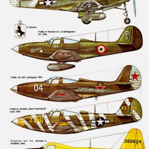 Bell P-39 Airacobra variants