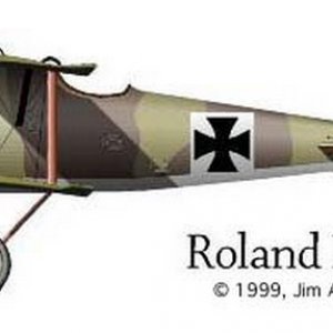 LFG Roland D.II