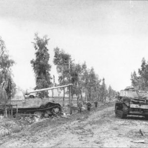 Panzer III Passing The Elefant