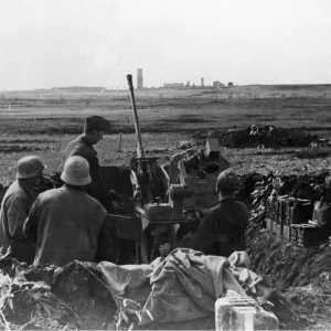 20mm Flak 38 In Position