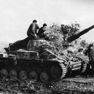 A Panzer II Of The 216th Assault Tank Battalion
