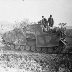 Sturmpanzer IV  (Brummbär) Of The 216th