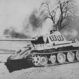 Panther Ausf A In Belarus