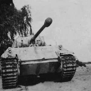 Panther Ausf D 4th Panzer Regiment
