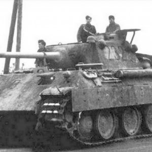 Panther Ausf D Number 232