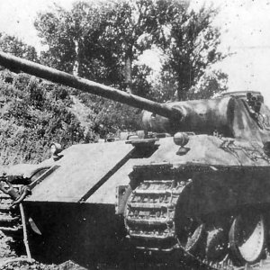 Panther Ausf D Number 824
