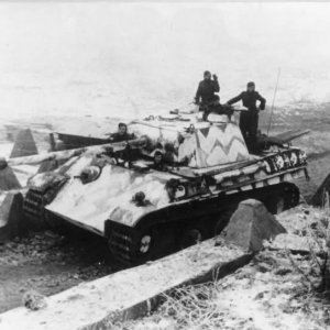 Panther Ausf G Winter Cam