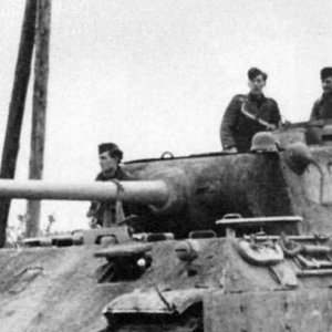 Panther Tank Number 232