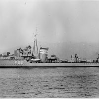 HMS Jackal
