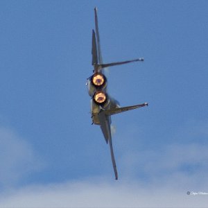 F15.jpeg