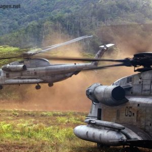 CH-53D Sea Stallion helicopters lift off