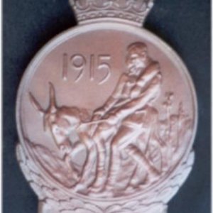 Abbott Brown medal