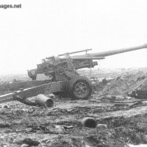 Argentine artillery