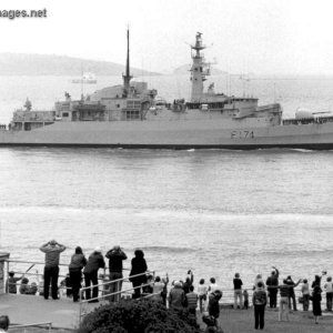 HMS Alacrity (F174)