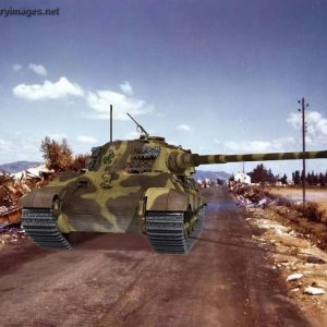 Tiger II Prowling The Roads Wallpaper