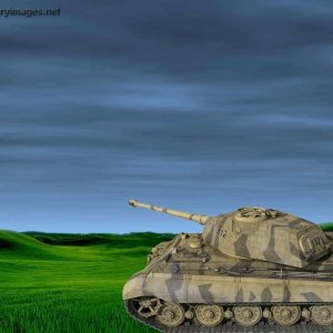 Tiger_2_early_112_ab