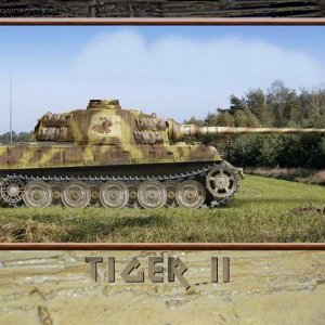 Tiger_2_with_Knight_312