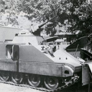M113  CR