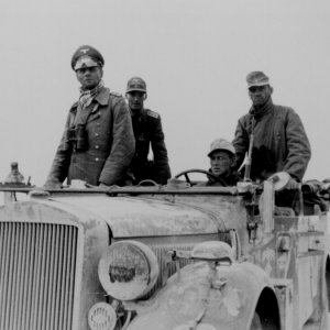 Rommel 15th Panzer Division Libya 41