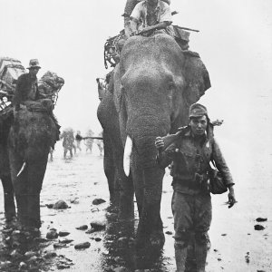 Japanese troops on elephant Burma