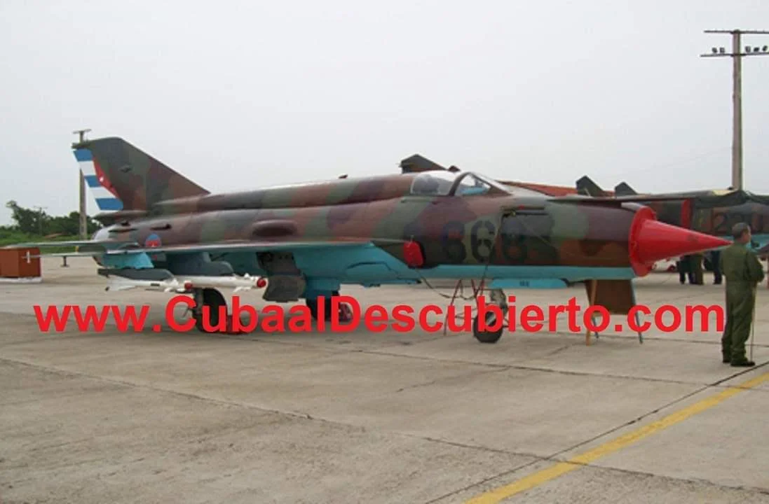 1000071065.webp