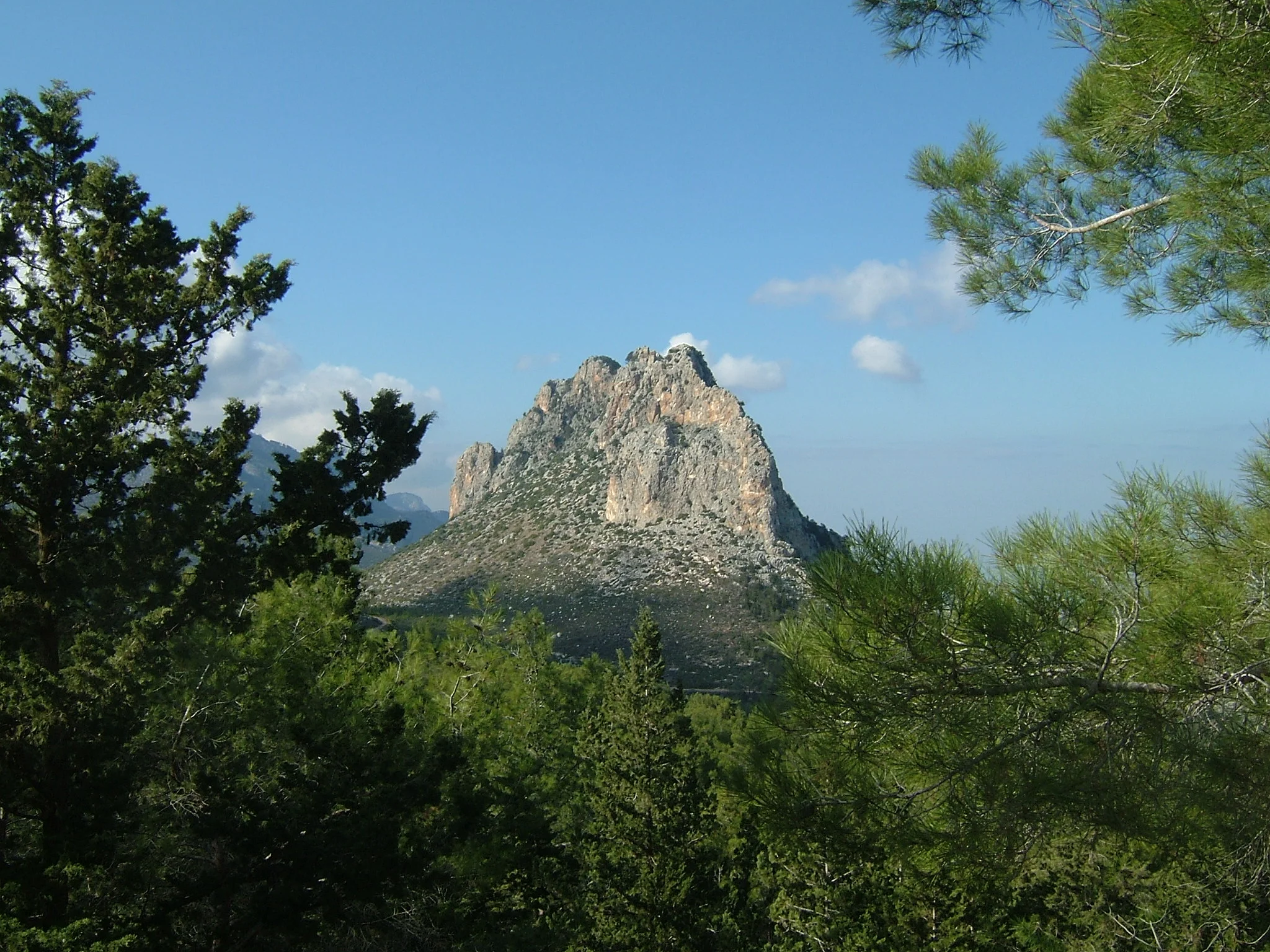 1593591811414.webp