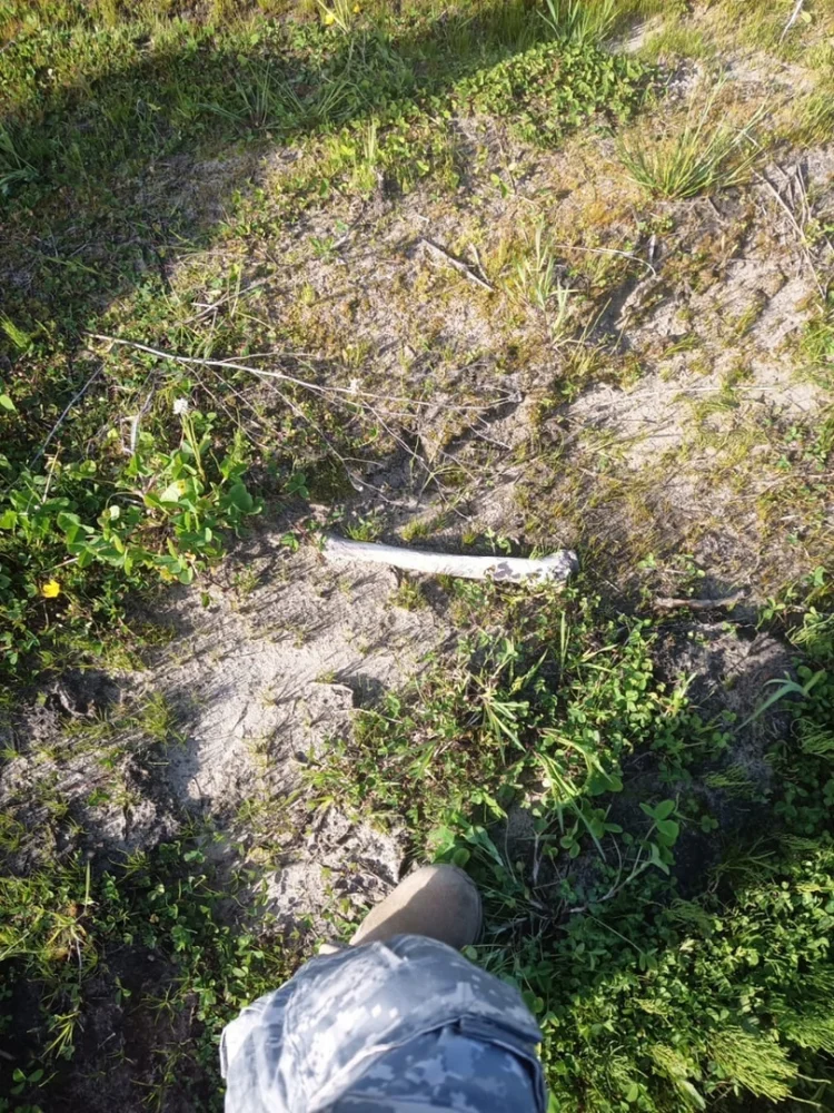 1623064103873.webp