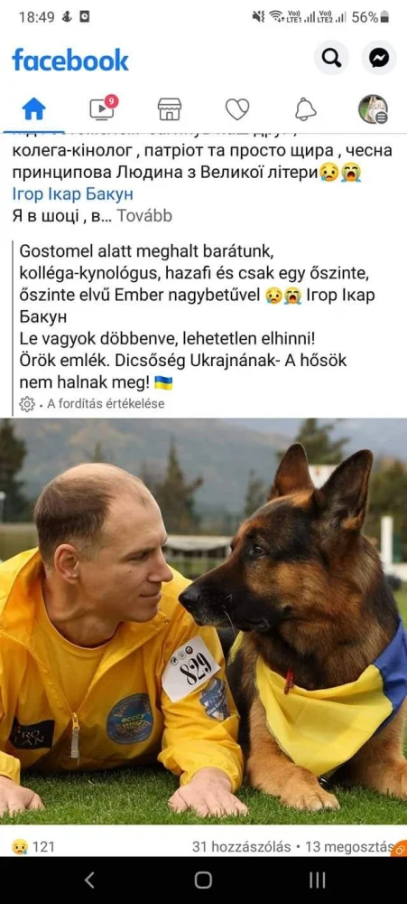 1646068698250.png