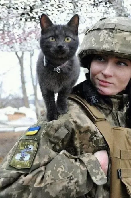 1649558654402.webp