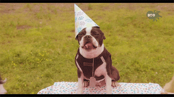 200.gif