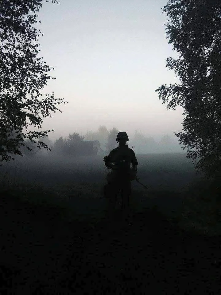 20103_910956348943127_2591573311869939515_n.webp