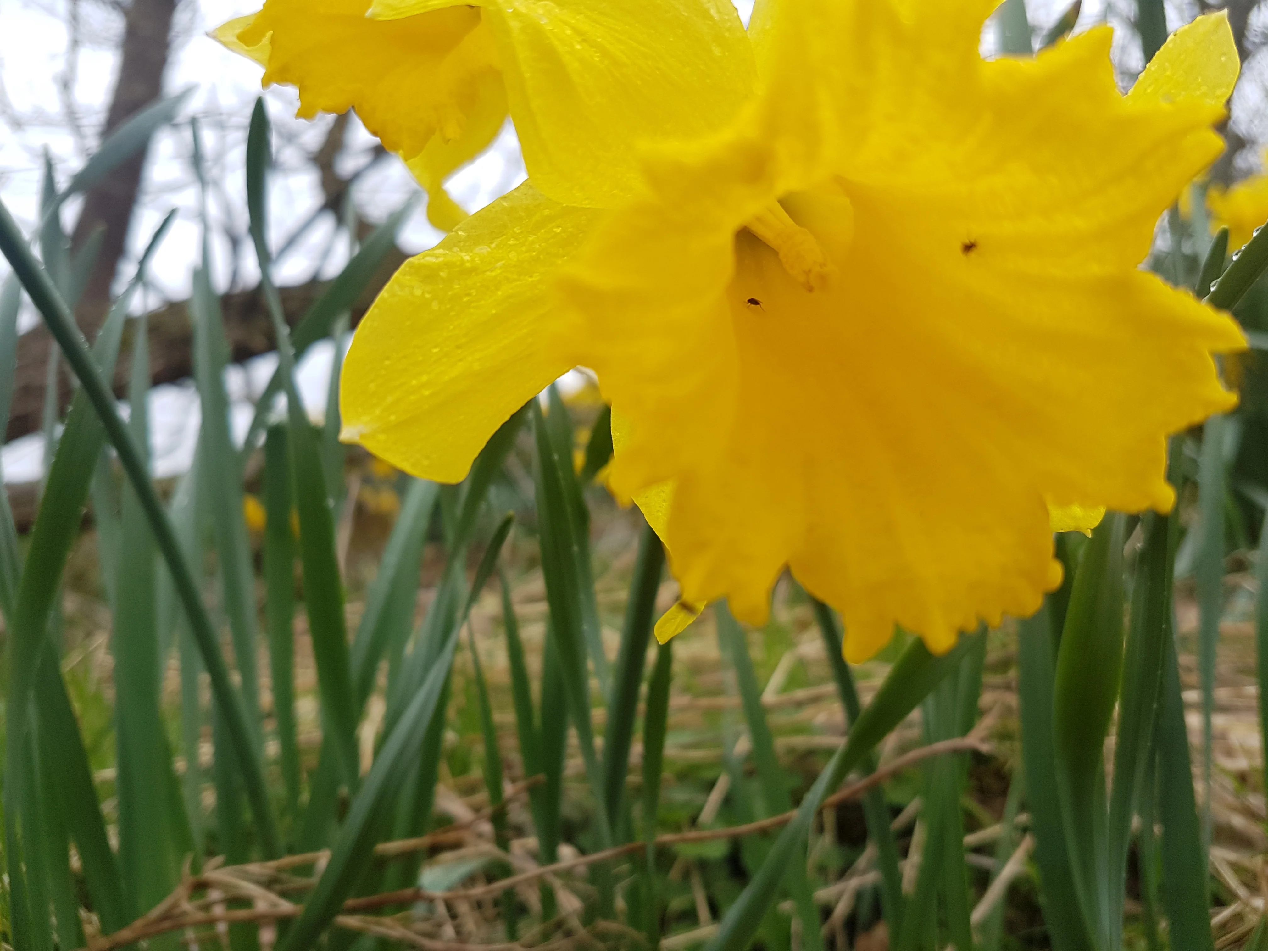 20180418_144641.webp