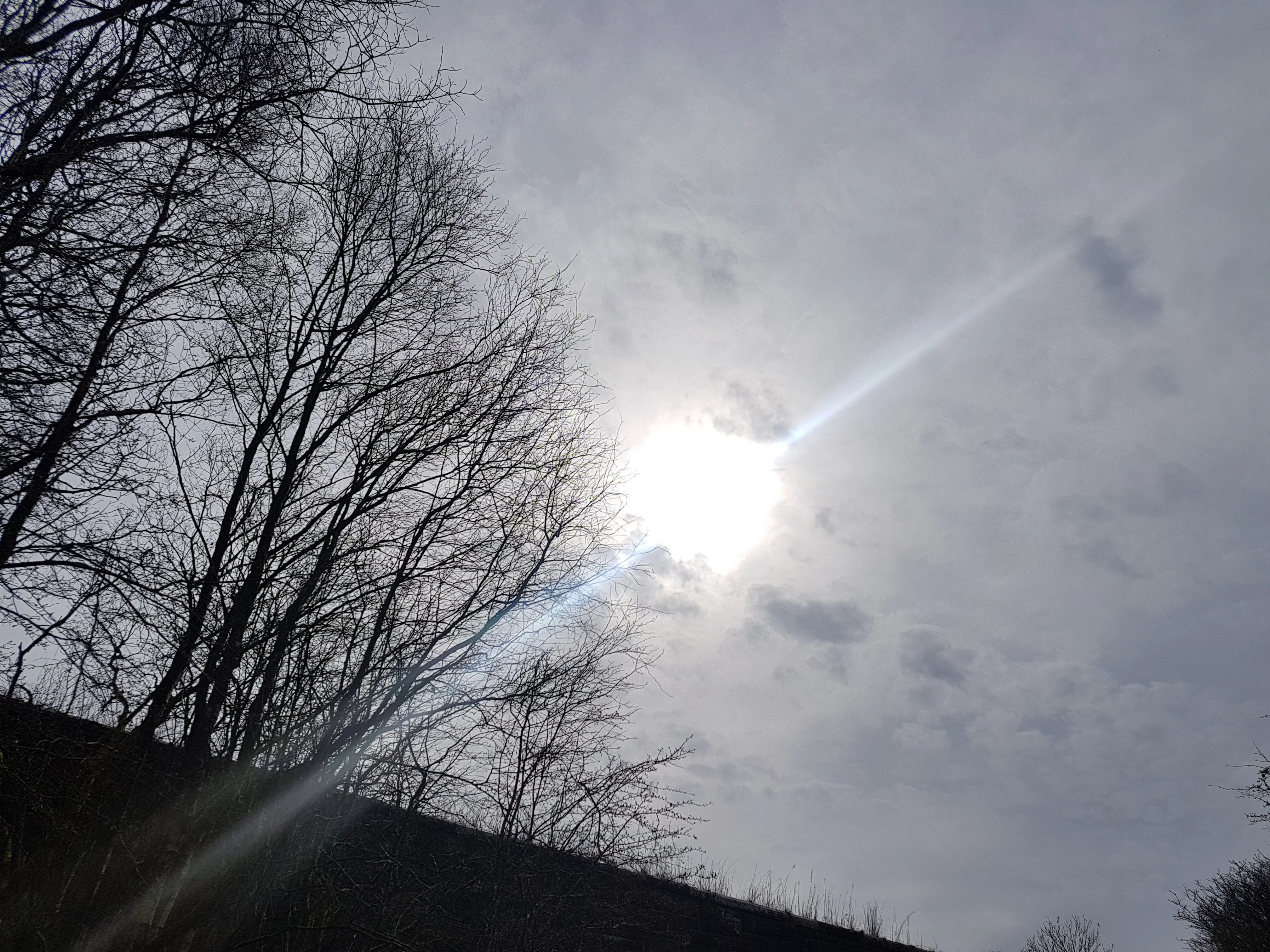 20180418_154225.webp