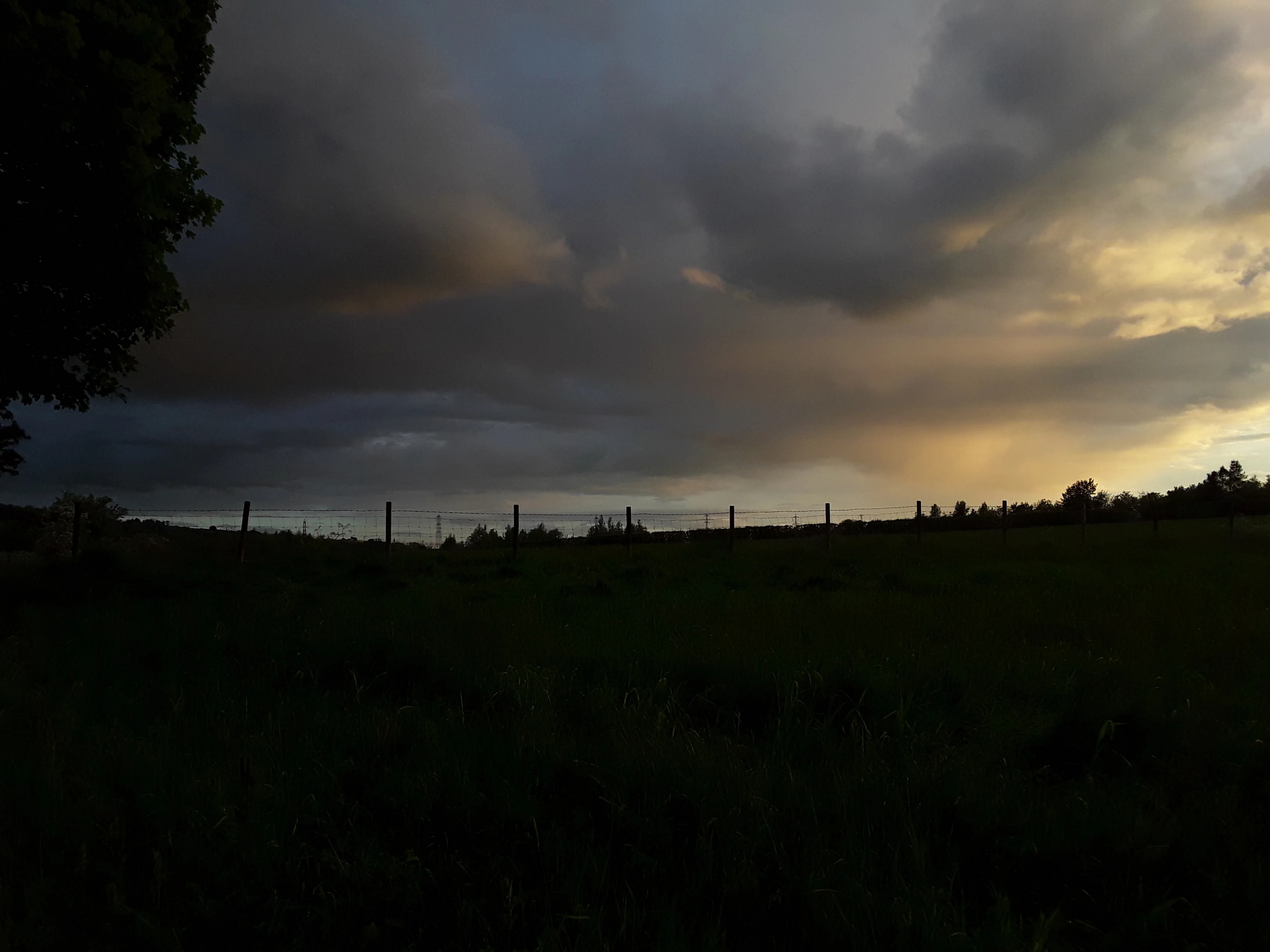 20190527_211121.webp