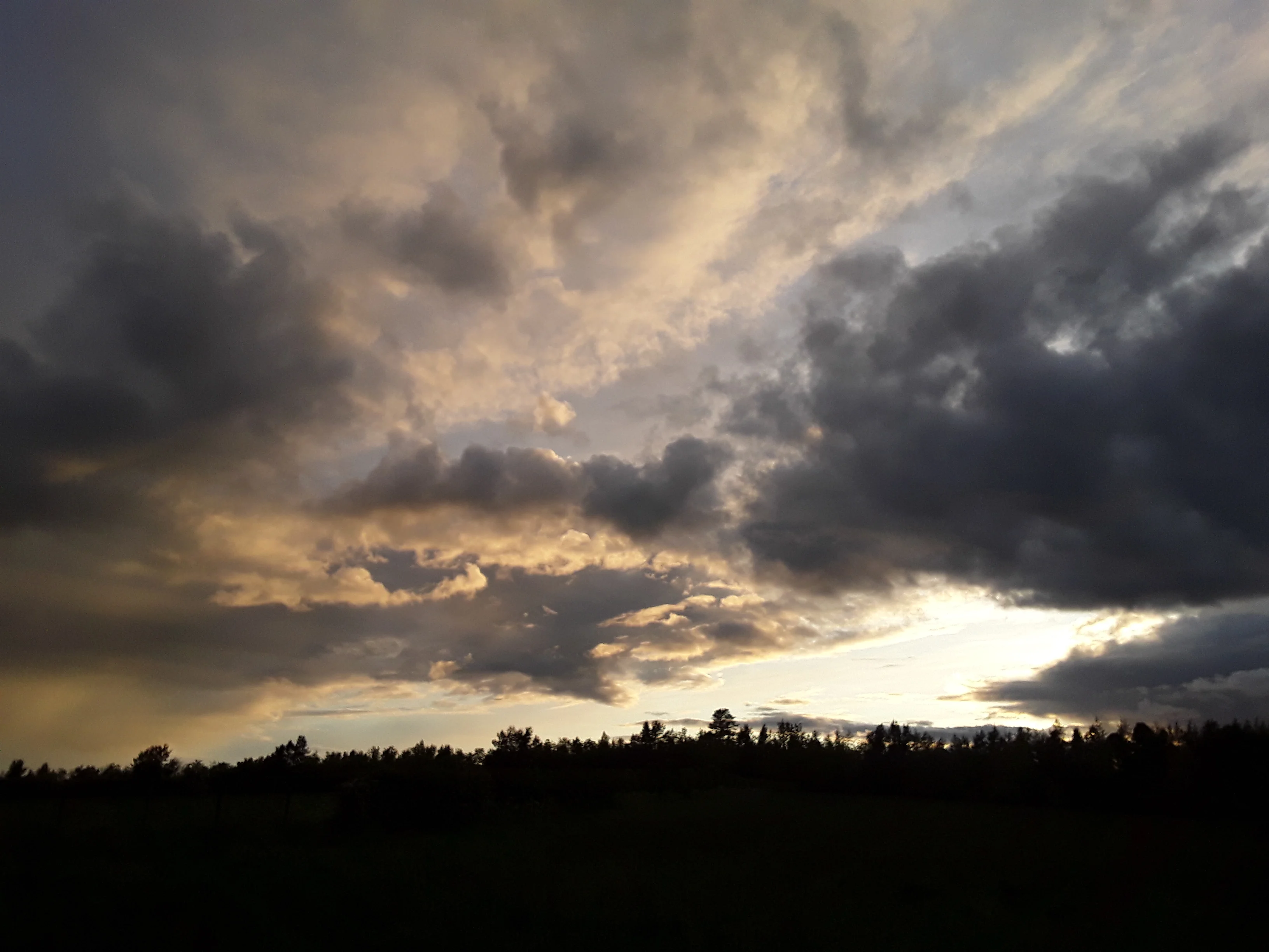 20190527_211133.webp