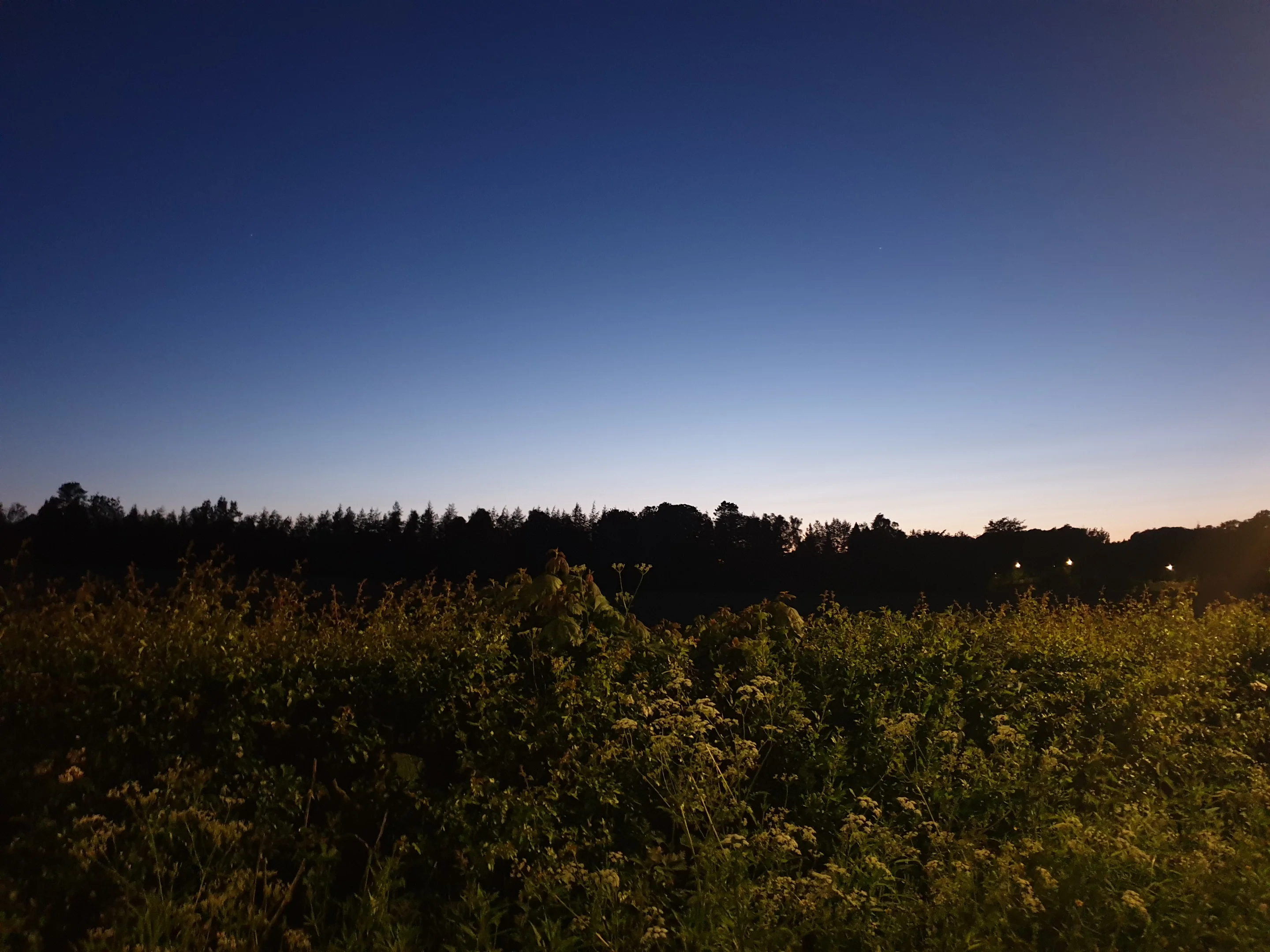 20190528_230559.webp