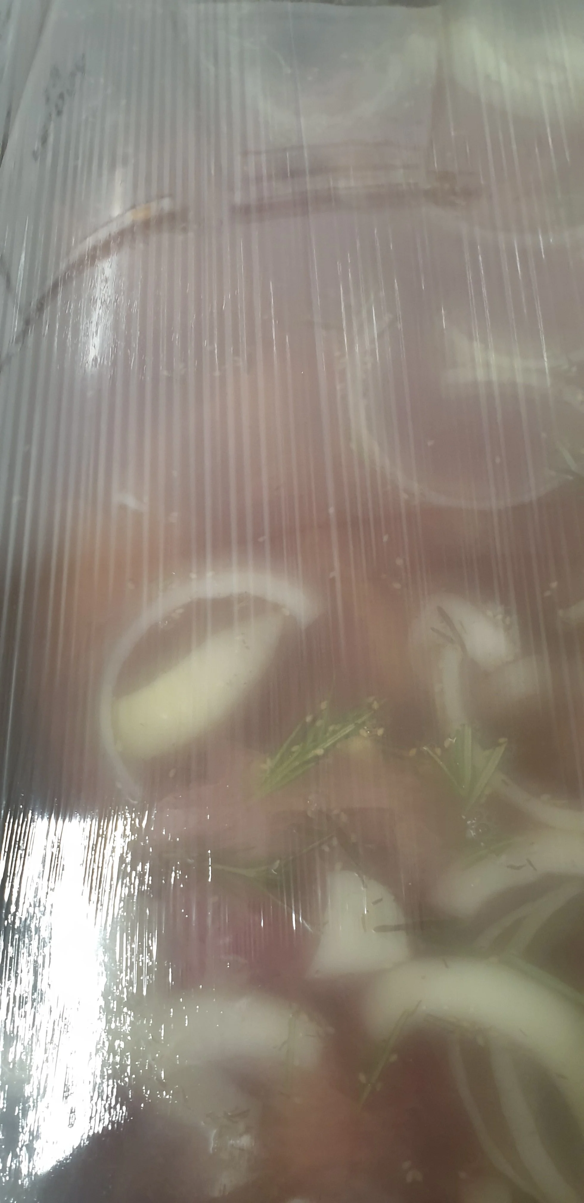 20190619_114439.webp