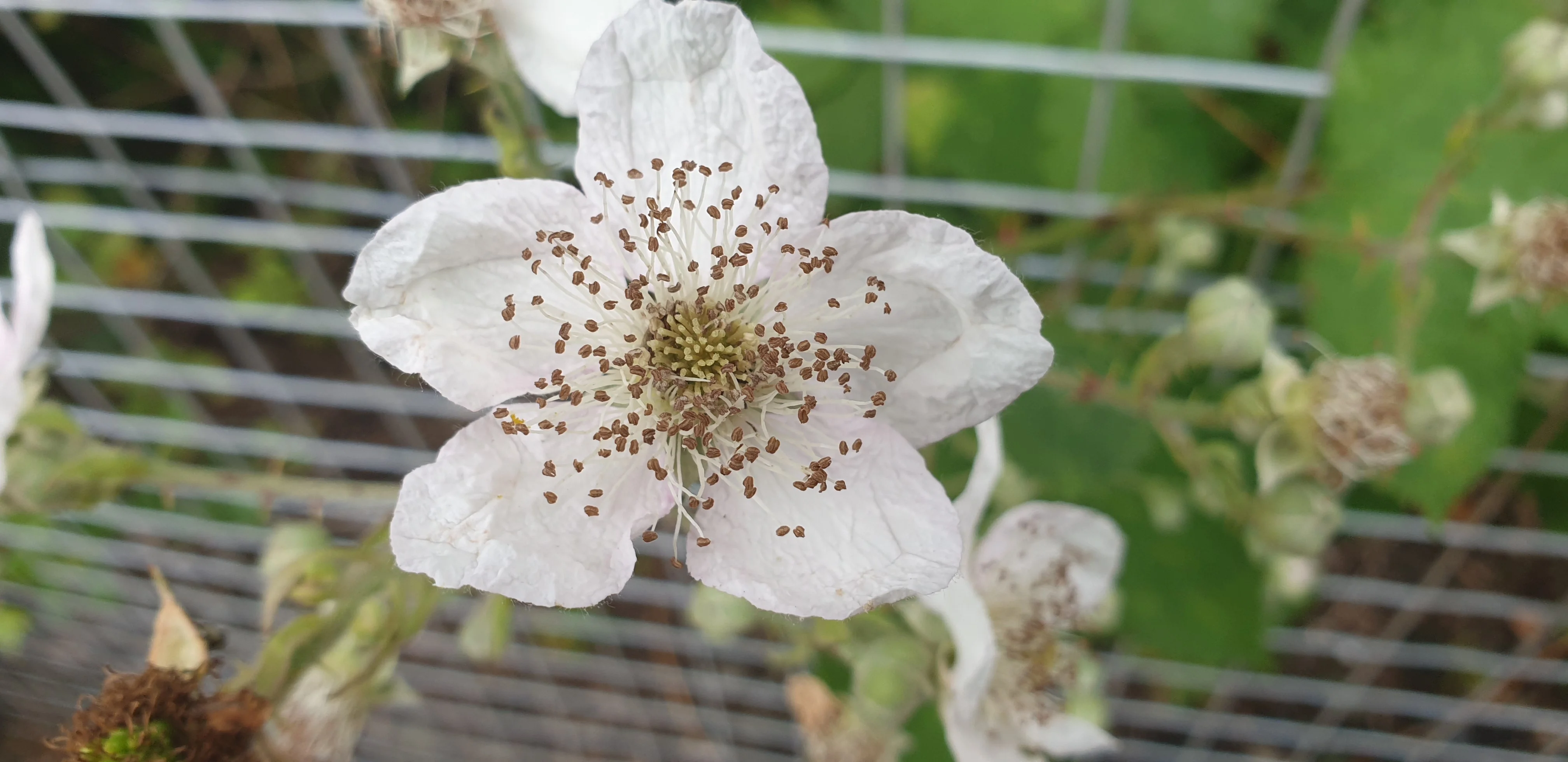 20190629_101740.webp