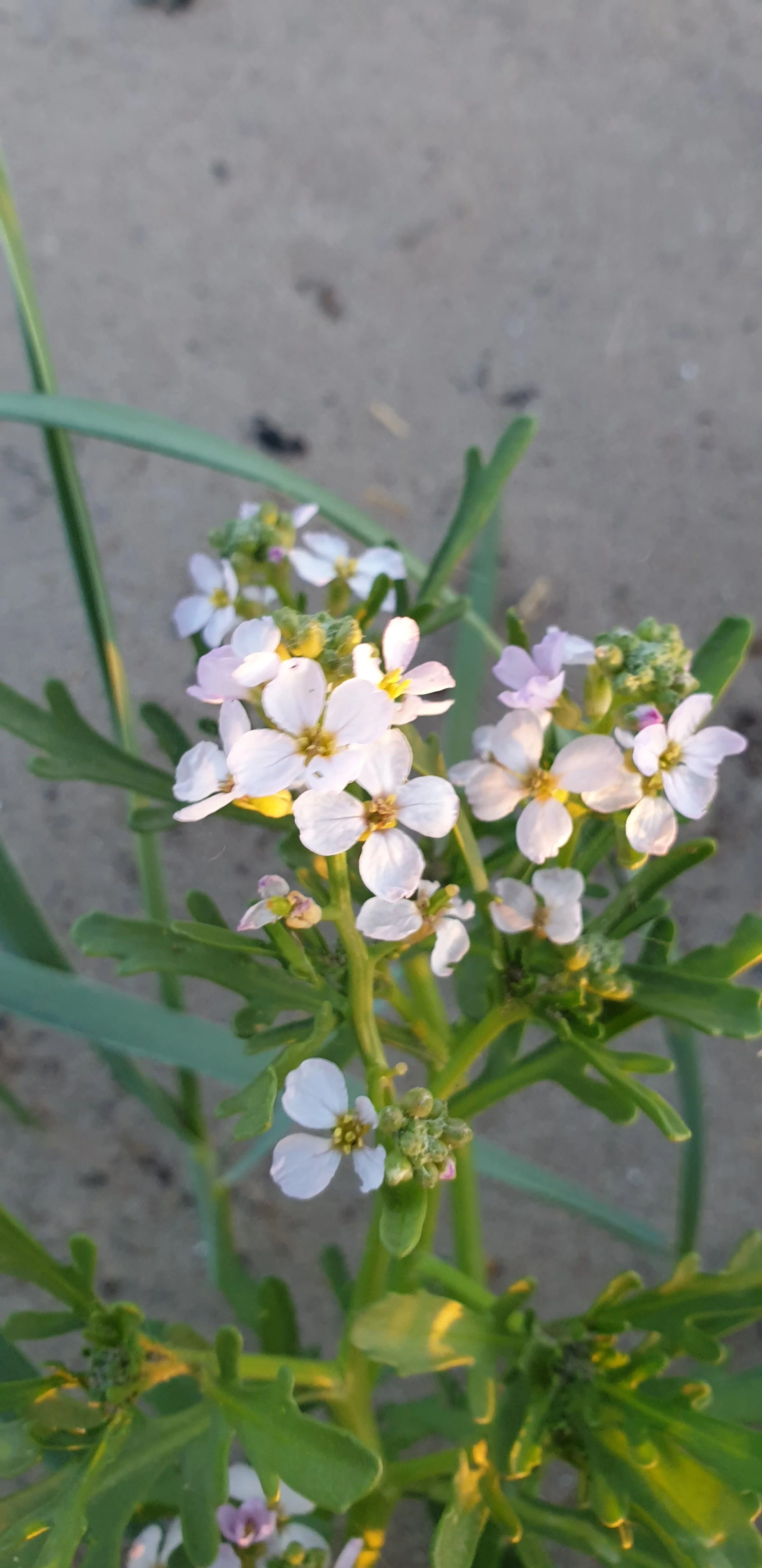 20190702_213543.webp