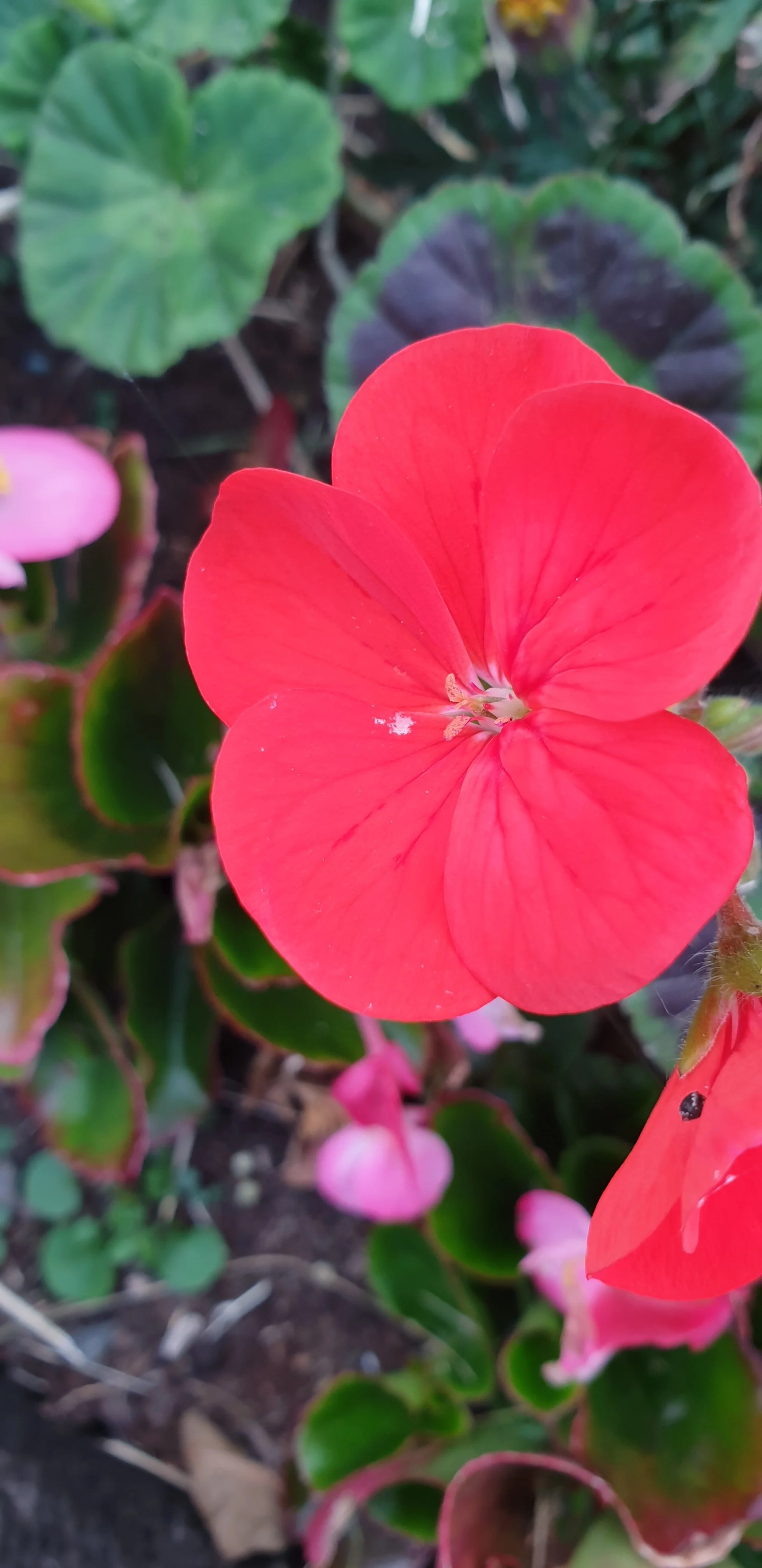 20190703_203855.webp