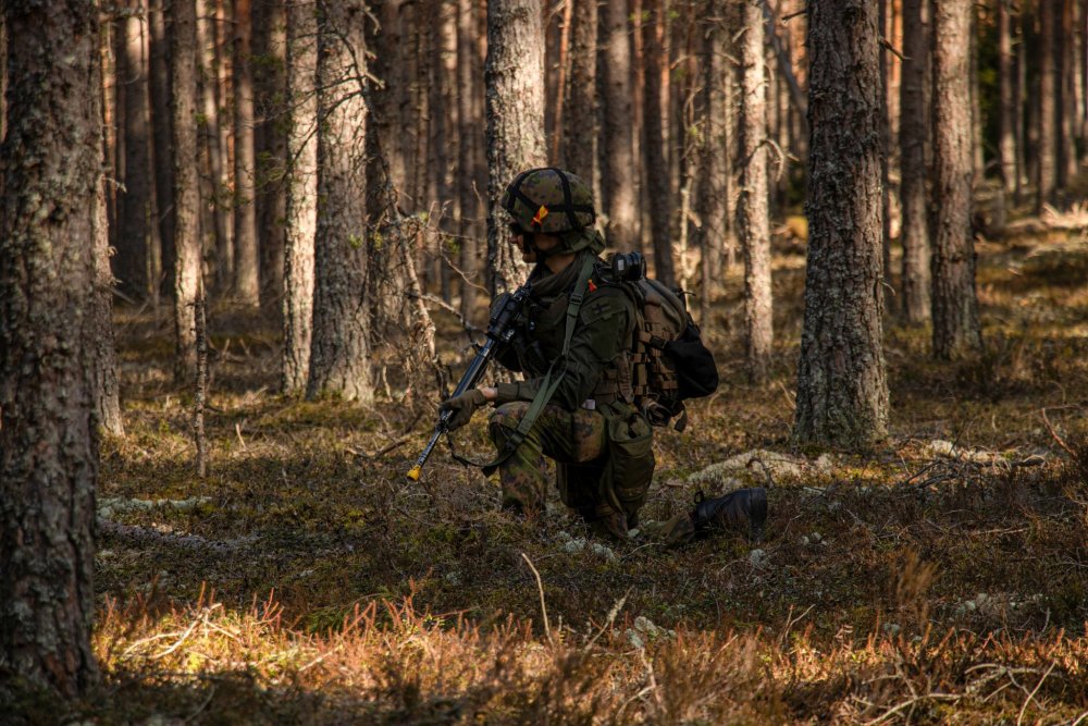 Photos - Finnish Defence Forces | Page 29 | A Military Photo & Video ...