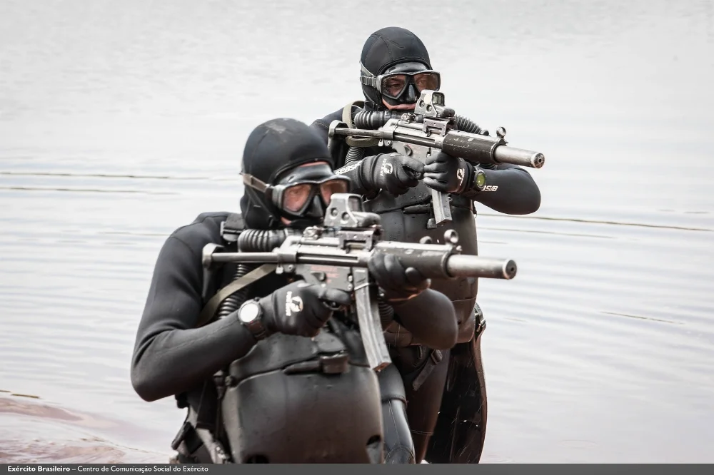 33328034885_fdc0151a64_h.webp
