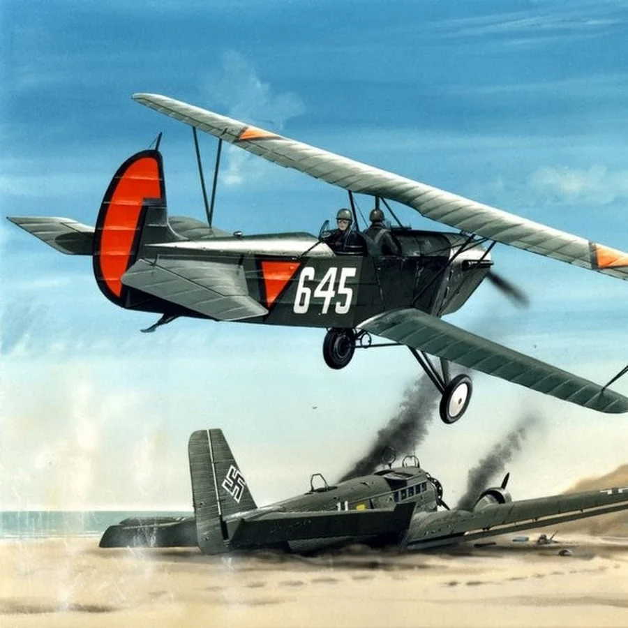 455713328_3591952081070279_7453959533754921240_n.webp