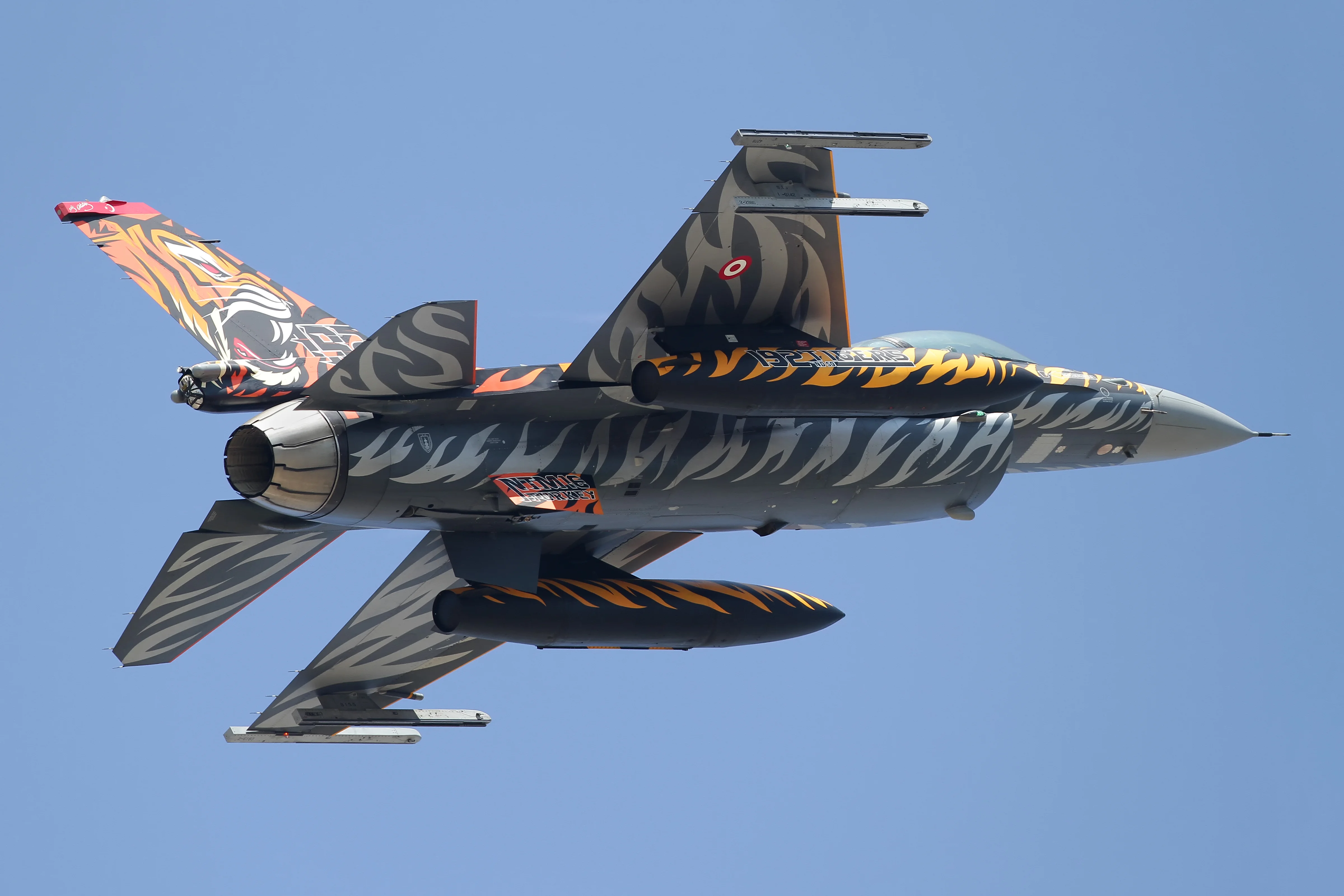 50093497266_a64ec7c1f7_o.webp