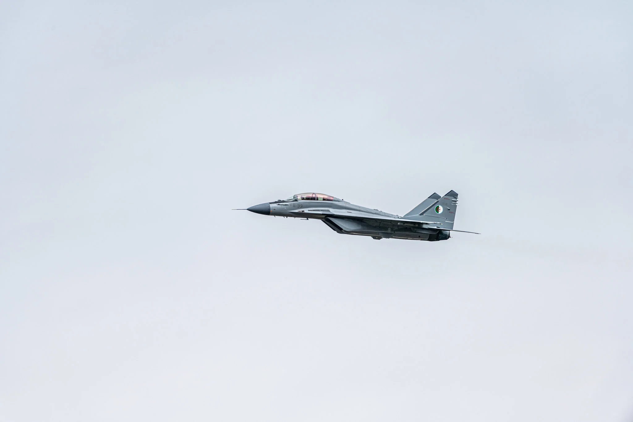 50426902613_1ce176c354_k.webp