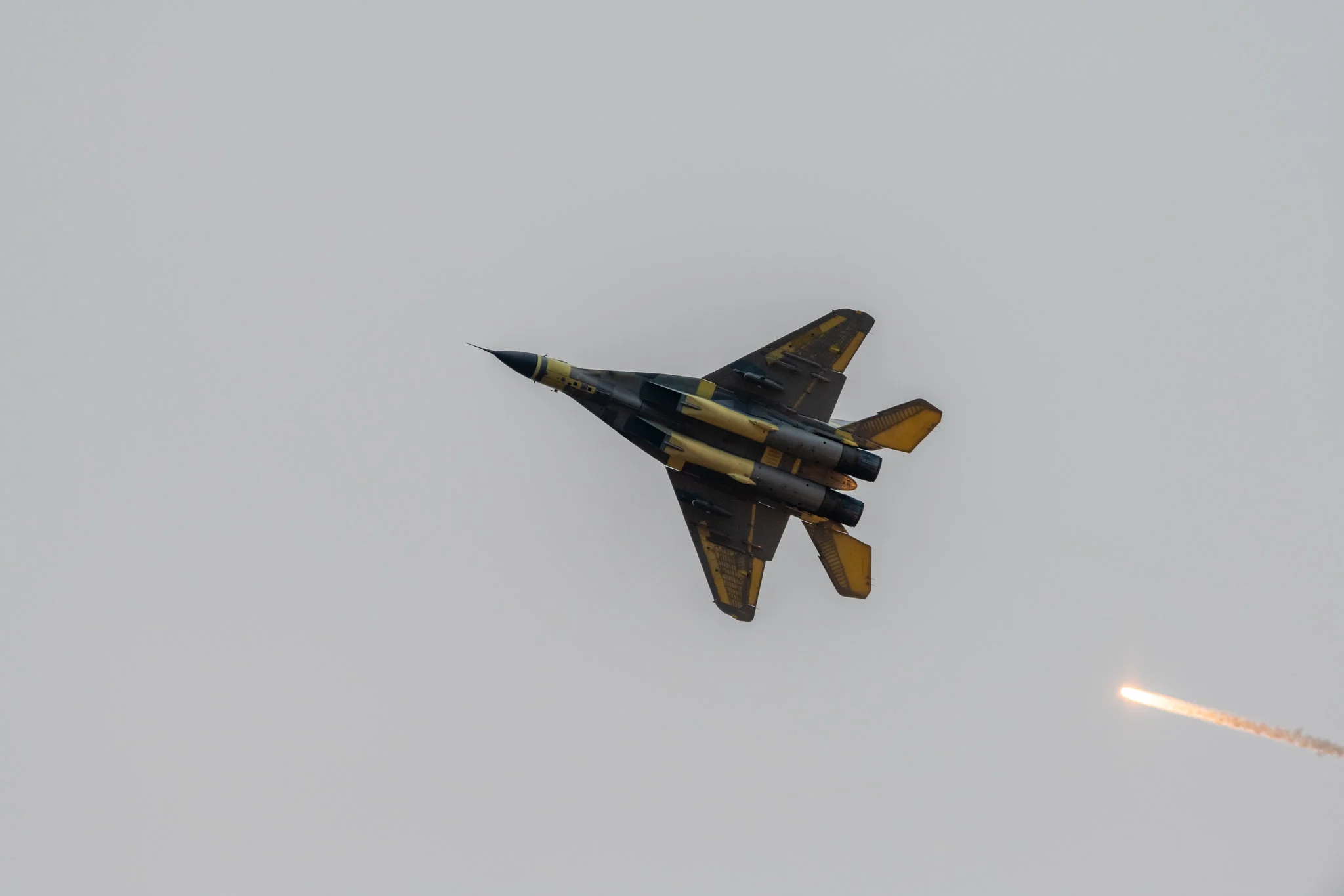 50555922561_1f301af9ec_k.jpg